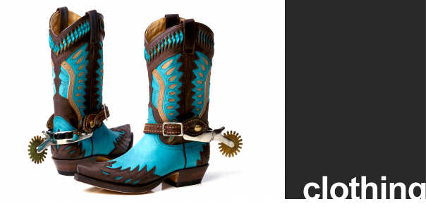 Professional Photographer