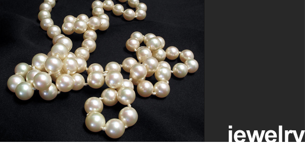 Professional Photographer