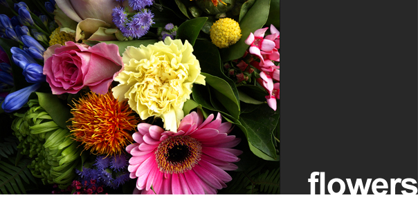 Photographer in San Antonio